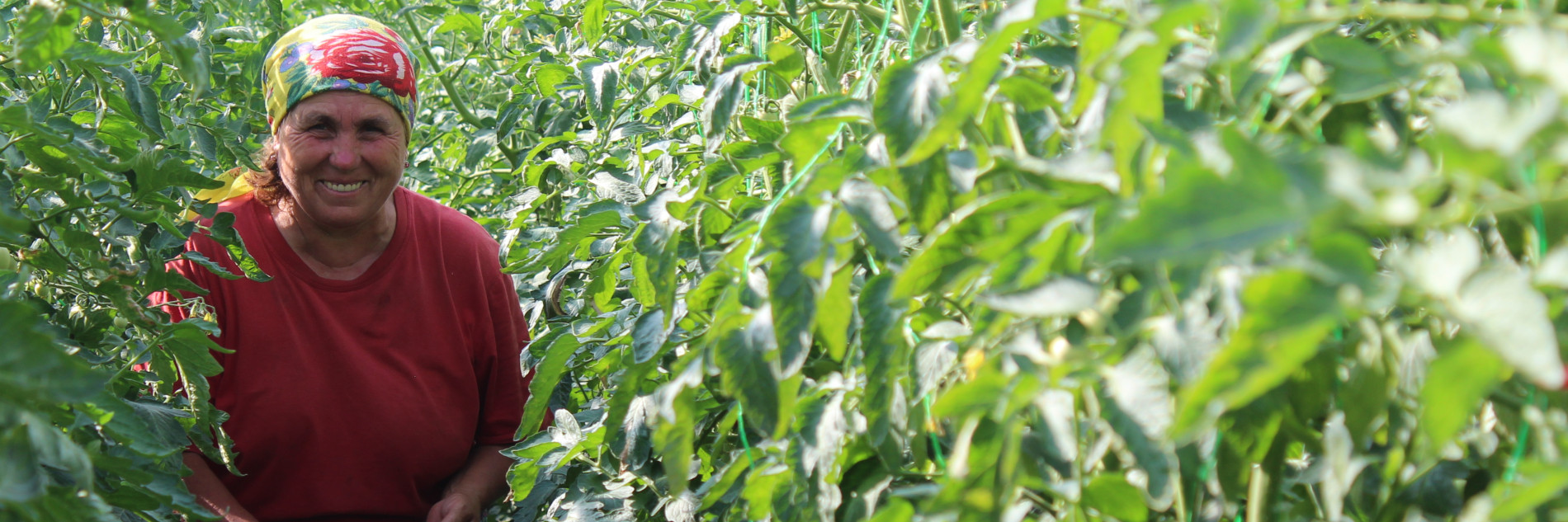 Сельское развитие, Средства к существованию и Устойчивое развитие