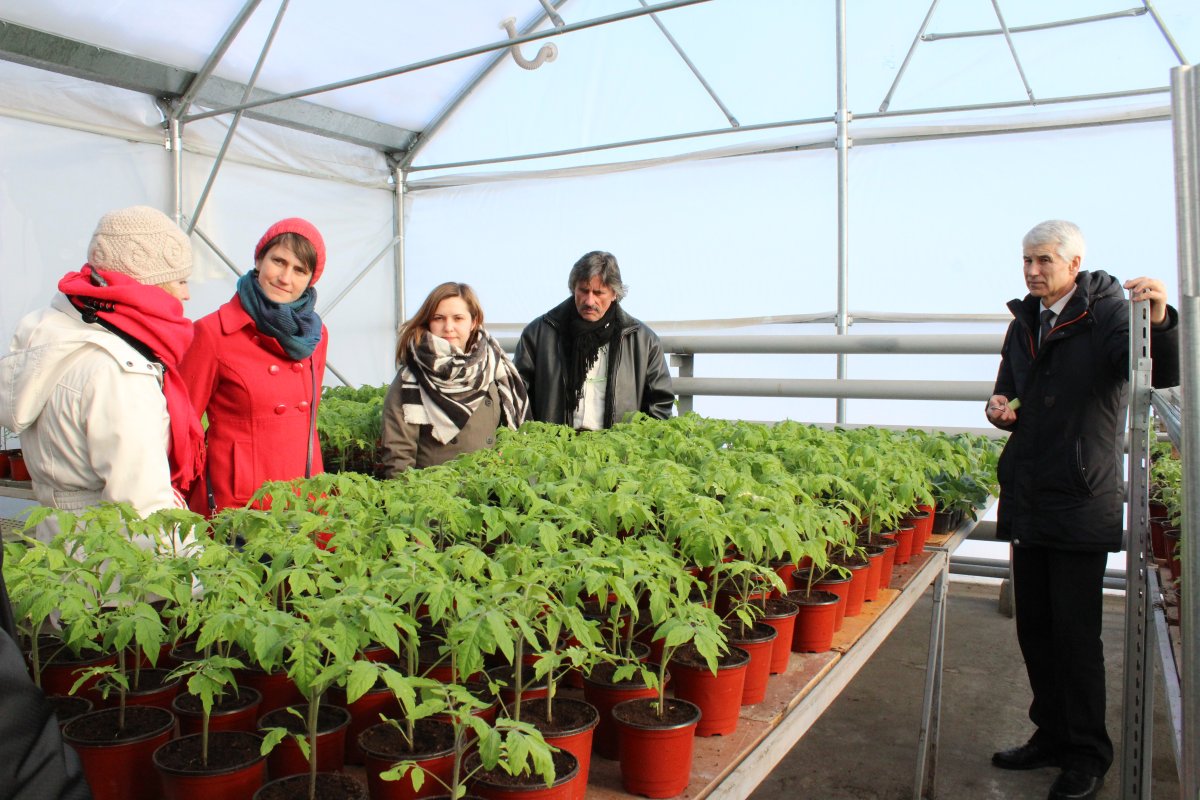 Enhancement of Viticulture and Winemaking programs at agricultural colleges in Moldova