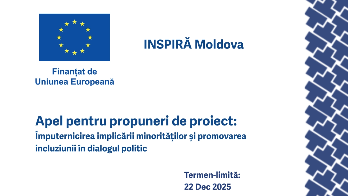 Apel pentru propuneri de proiect: Împuternicirea implicării minorităților și promovarea incluziunii în dialogul politic