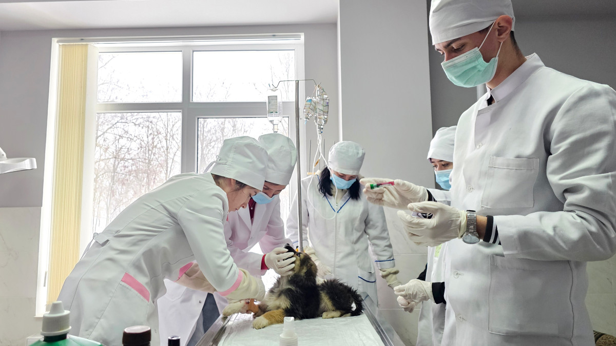 Sprijin ceh pentru educația veterinară din Republica Moldova: Ambasadorul Cehiei, în vizită oficială la colegiul din Brătușeni