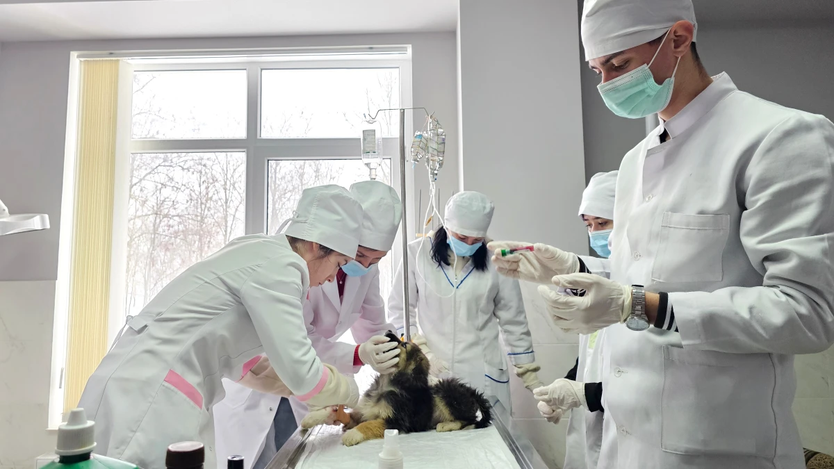 Sprijin ceh pentru educația veterinară din Republica Moldova: Ambasadorul Cehiei, în vizită oficială la colegiul din Brătușeni