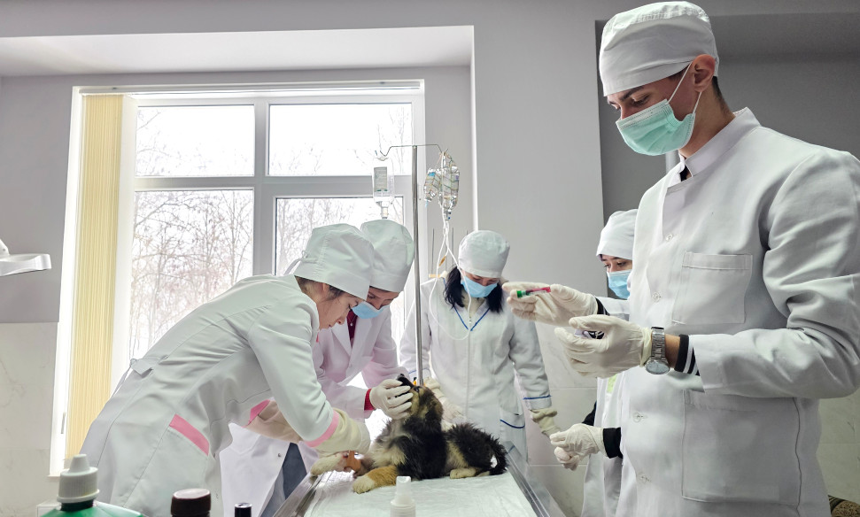 Sprijin ceh pentru educația veterinară din Republica Moldova: Ambasadorul Cehiei, în vizită oficială la colegiul din Brătușeni