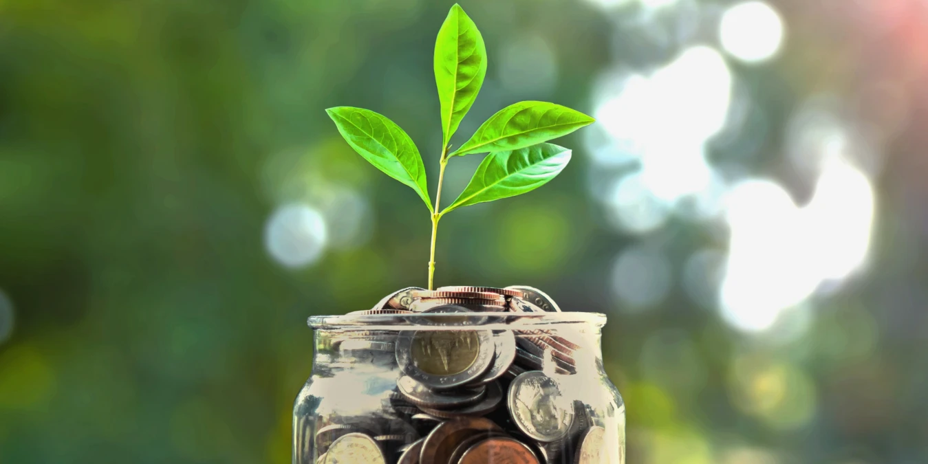 Grant opportunities