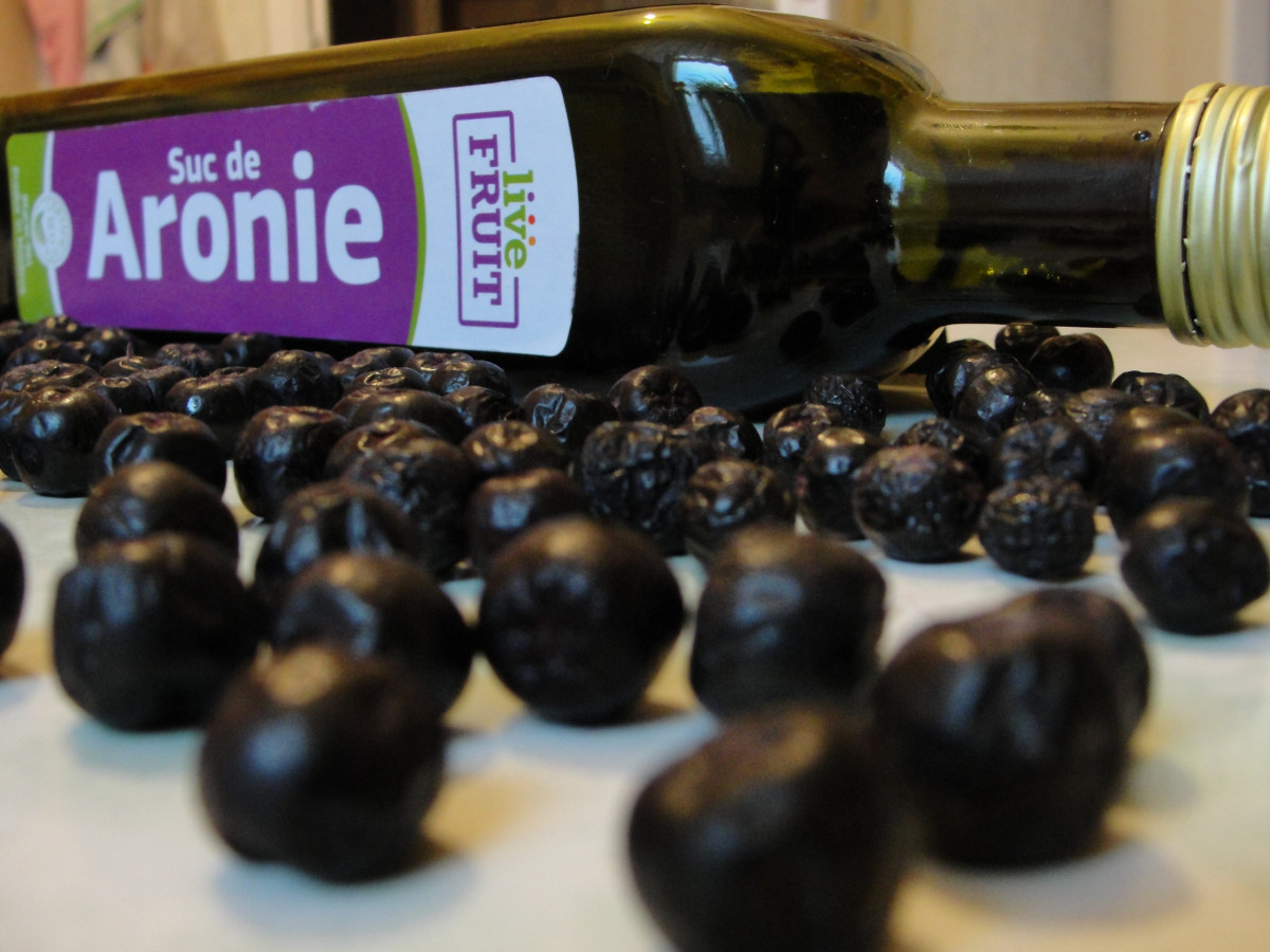 Organic Chokeberries – The Pride of a Young Moldovan Farmer