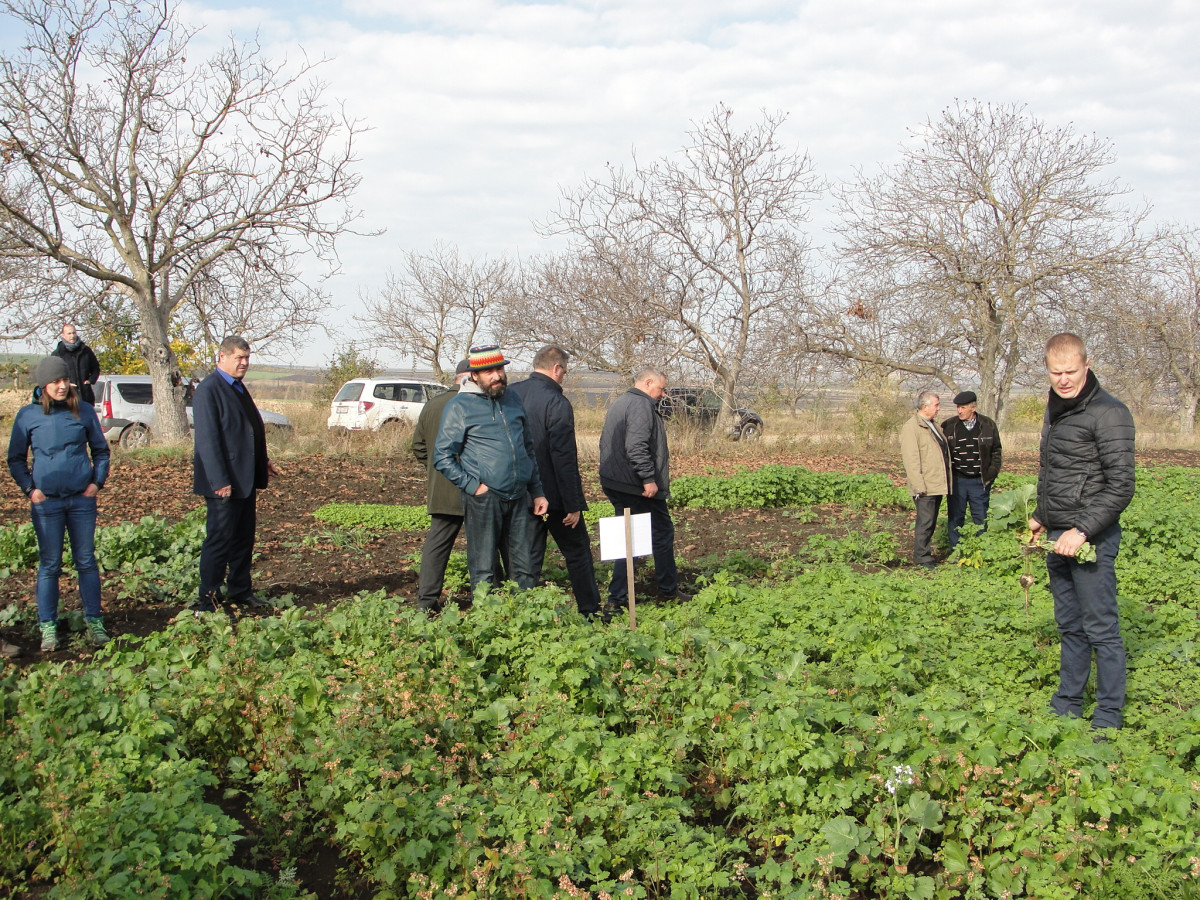 COOPERATION BETWEEN NON-GOVERMENTAL AND PRIVATE SECTOR HELPS MOLDOVAN FARMERS GET TO FOREIGN MARKETS