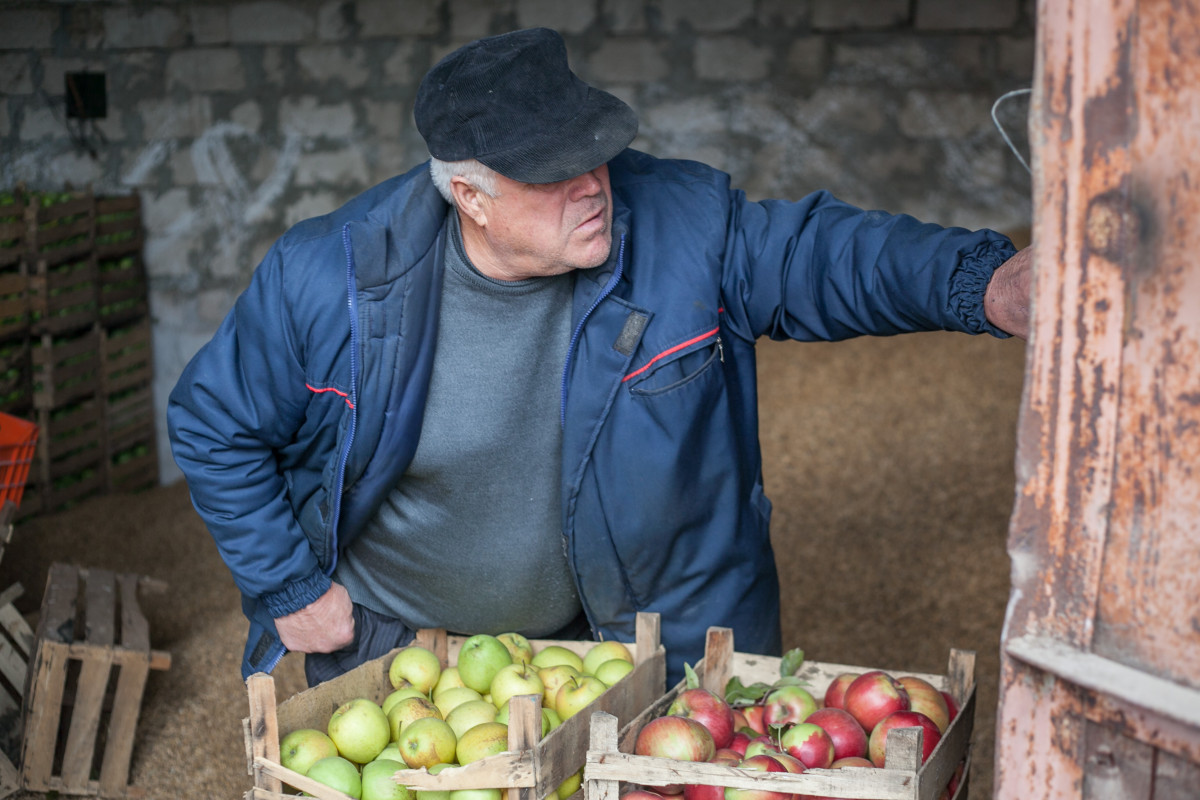 Support for the production of fruit and vegetables with added market value in Moldova