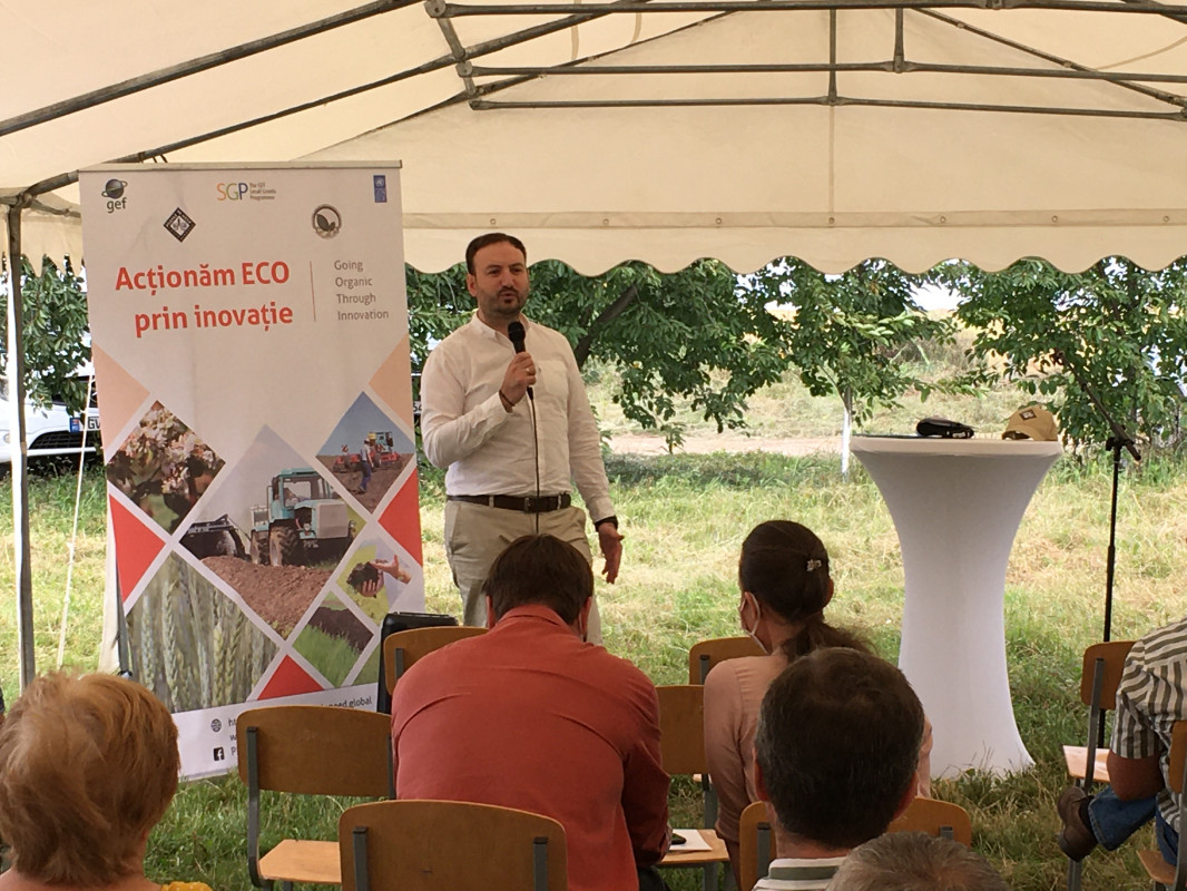 Going organic through innovation