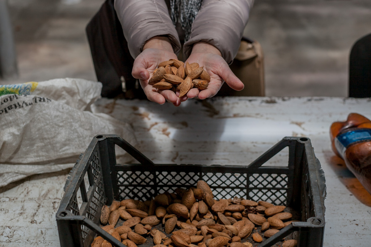 Organic Farming Unleashed: A Joint Effort to Build an Enabling Environment for Organic farmers in Moldova