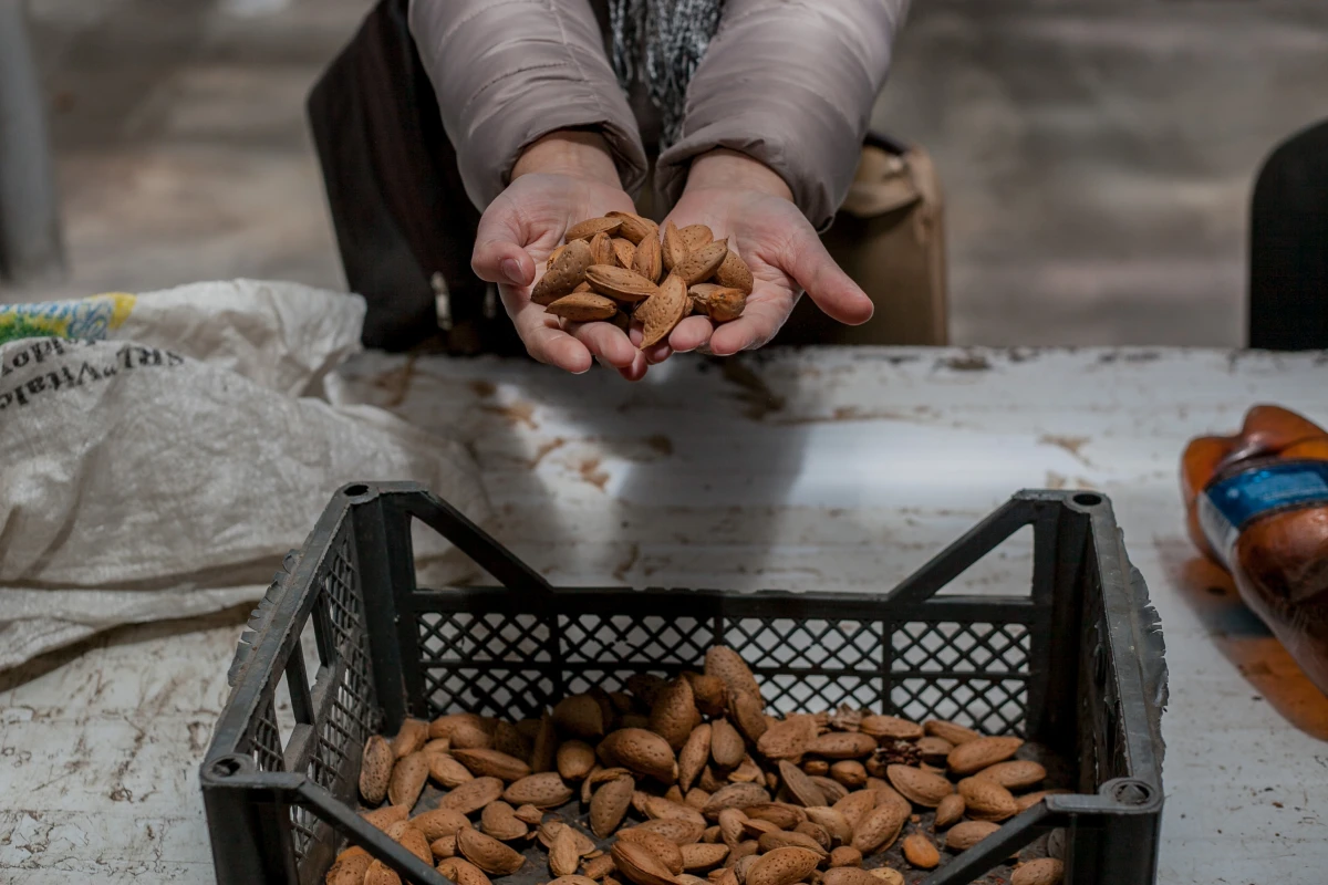 Agricultura ecologică fortificată: Efort comun pentru construirea unui mediu favorabil agricultorilor ecologici în Republica Moldova