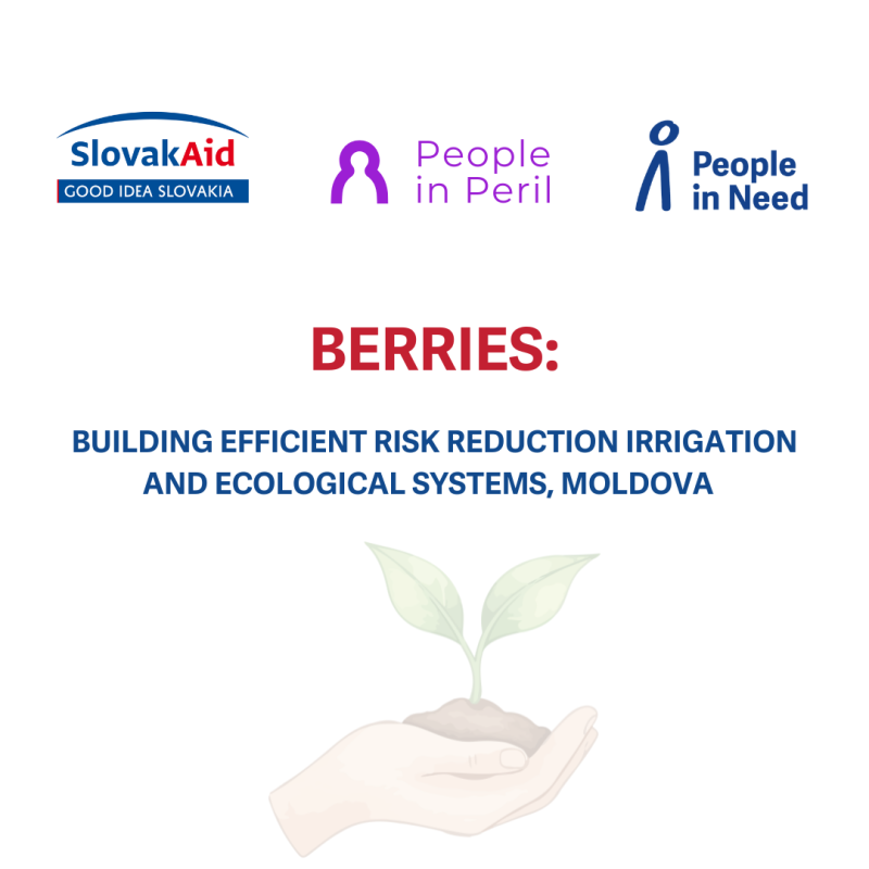 Practici ecologice și irigare eficientă pentru reducerea riscurilor în agricultură